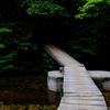 深緑への橋