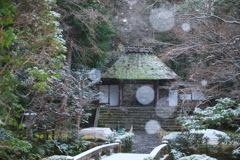 雪舞う法然院