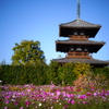秋爛漫-1