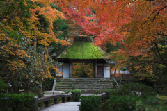 静寂の錦秋