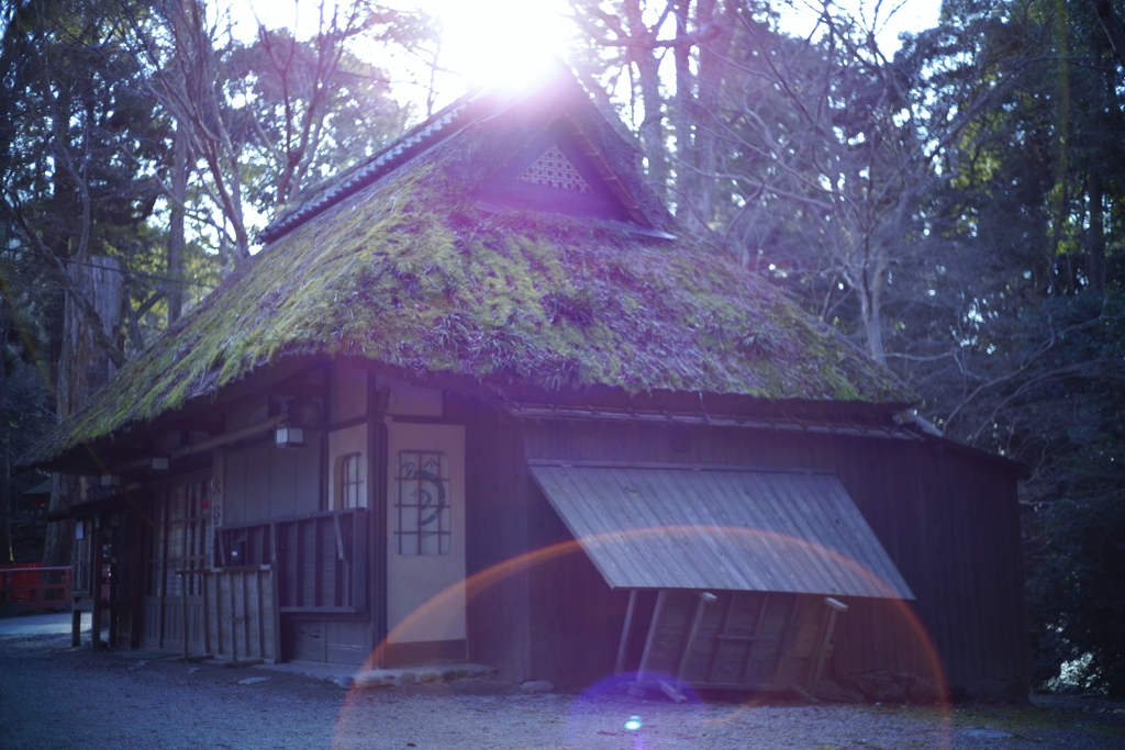 NEW Oldlens-1