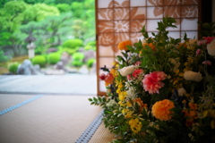 妙満寺ー花咲く京都ー