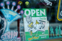 cool duck.