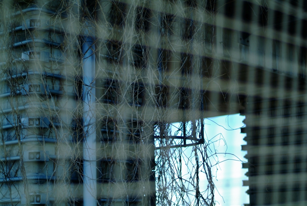 Beyond the wire fence.