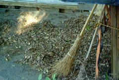 broom of sorrow.
