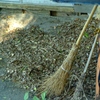 broom of sorrow.