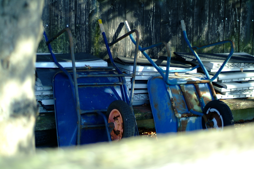 Two Reminiscences.