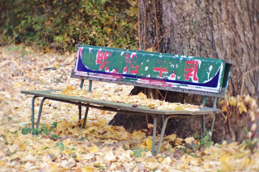 Autumn leaves on the bench.