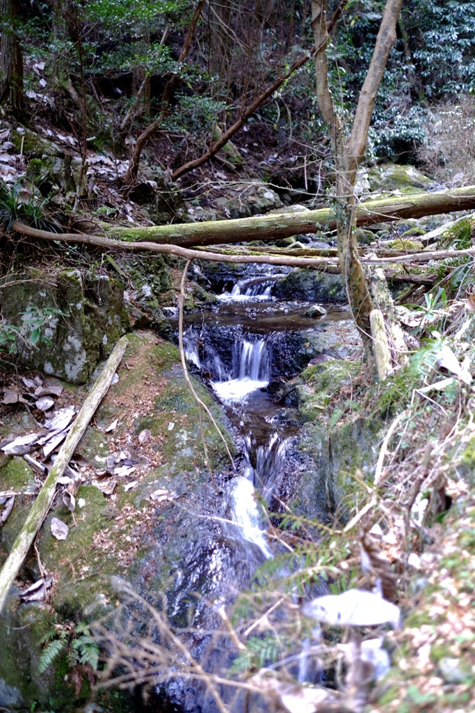 葛城山付近偵察