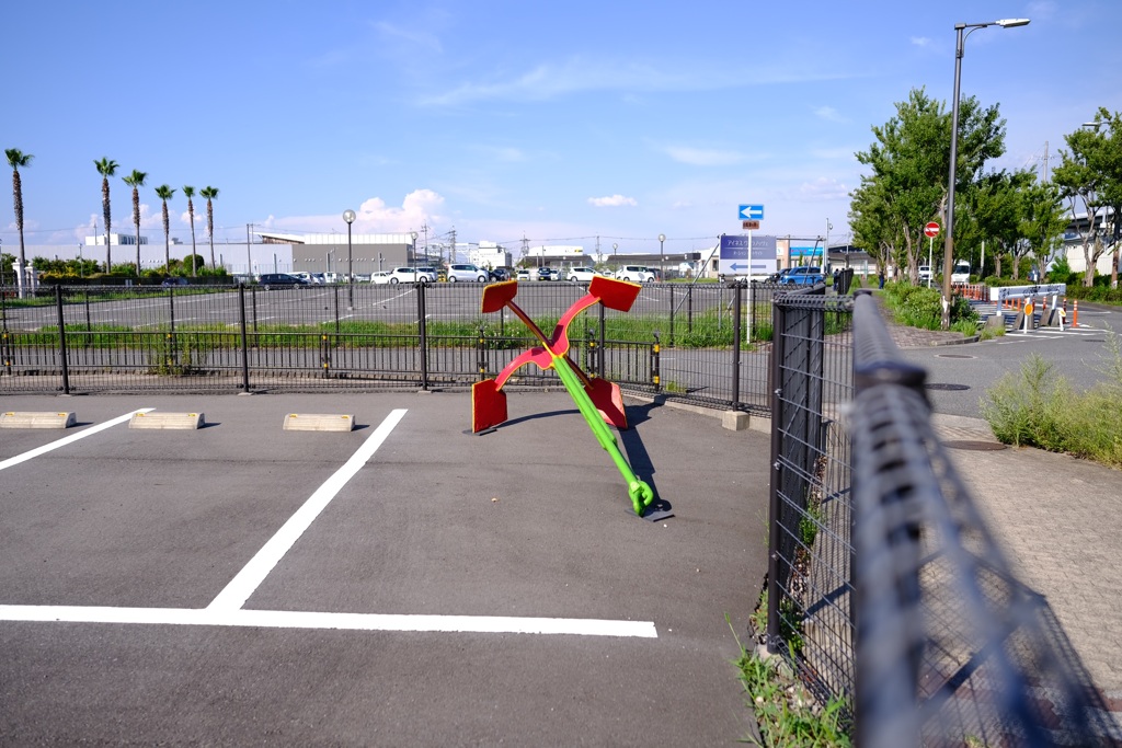 駐車場にイカリが⁉️