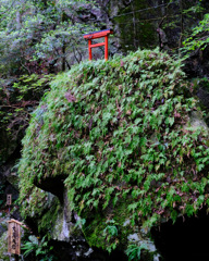 大黒天岩