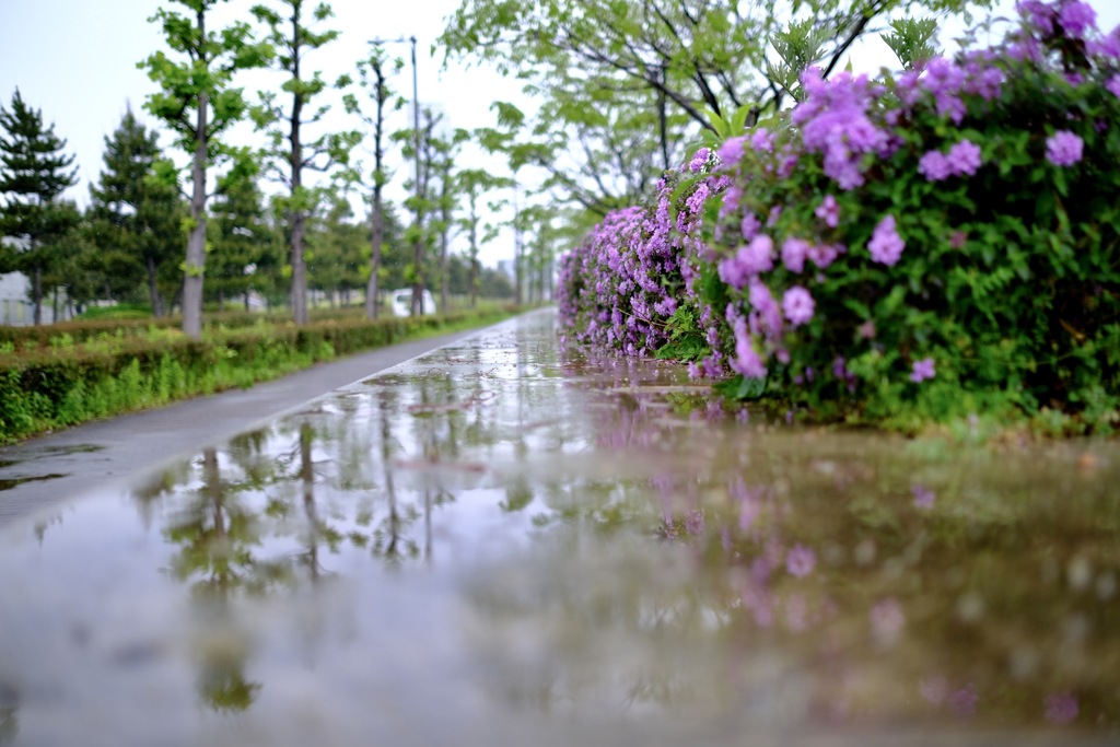 雨の日もシャッターチャンスがいっぱい