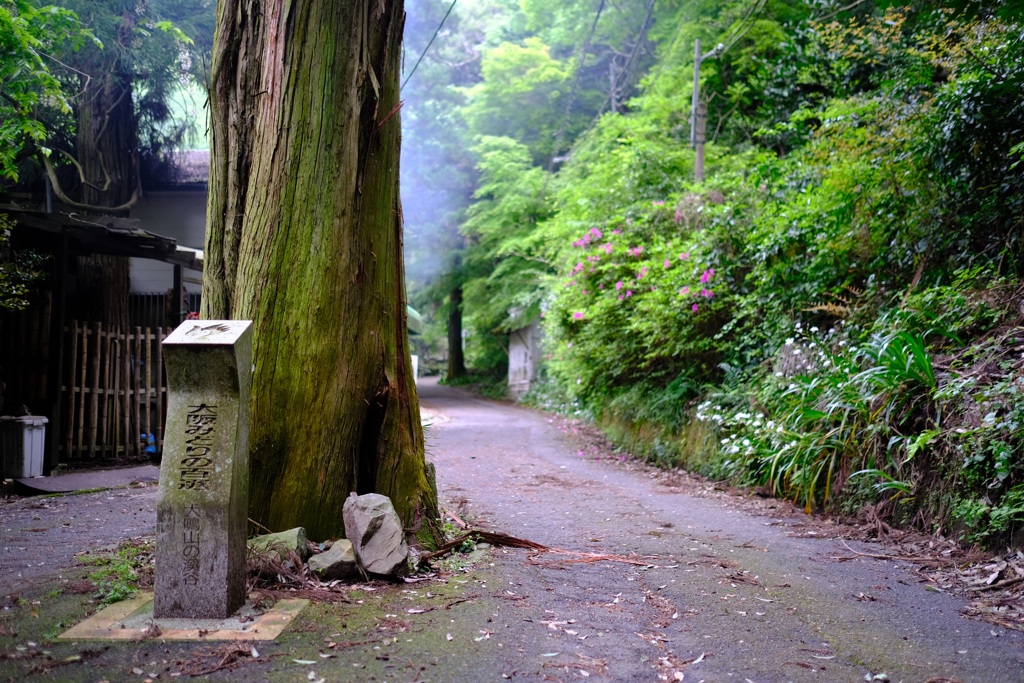 犬鳴山