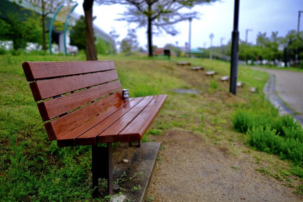 雨の日の公園