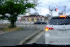 雨の日にもシャッターチャンスがある