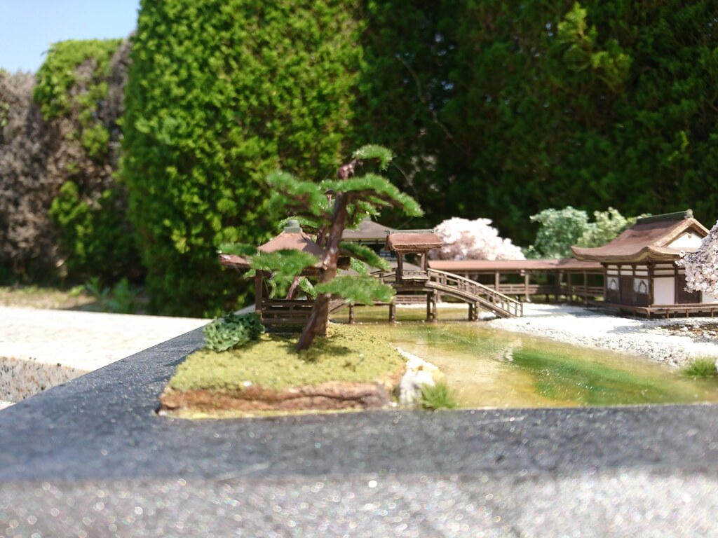 DSC_1979