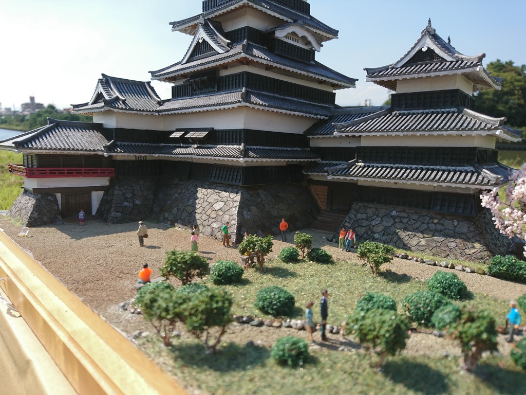 DSC_1224