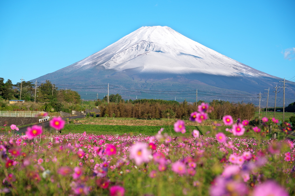 10月23日  静岡県東部より～朝の富士山