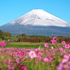 10月23日  静岡県東部より～朝の富士山