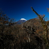 静岡県 愛鷹山からの富士山