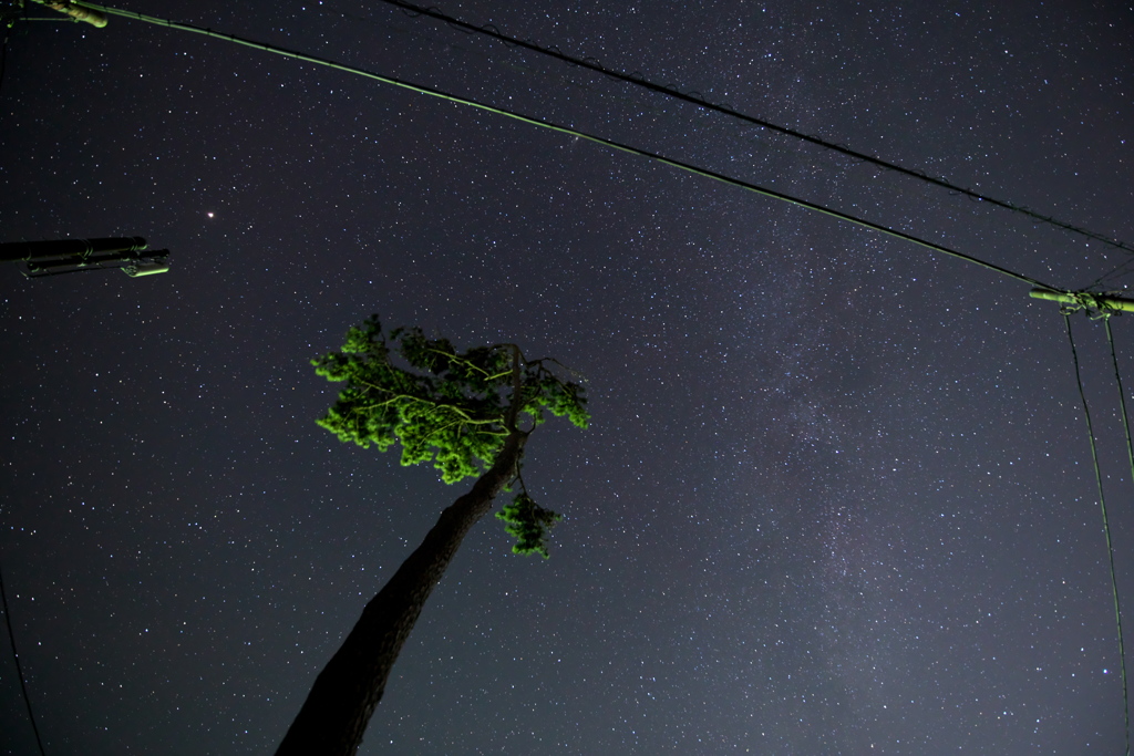 空を見上げるといっぱいの星☆彡