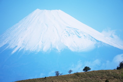 歩きたくなる道