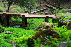 湧水の小川で