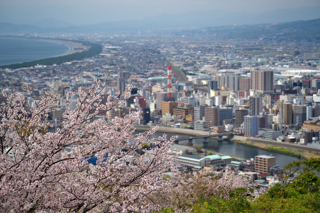 香貫山(静岡県)より   沼津市街地と駿河湾