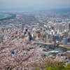 香貫山(静岡県)より   沼津市街地と駿河湾