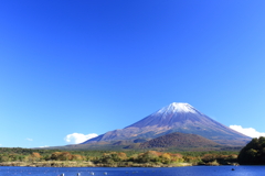 晩秋の精進湖