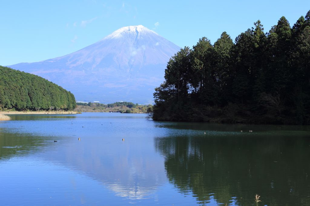 晩秋の田貫湖と逆さ富士