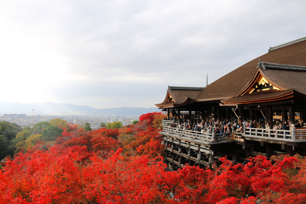 清水寺の紅葉