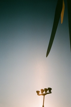 68C06C7A-DBA0-4B2C-8D76-F26B035D88A6