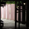 AD9F004B-E5ED-451B-A39F-8CD3F62F3CC3