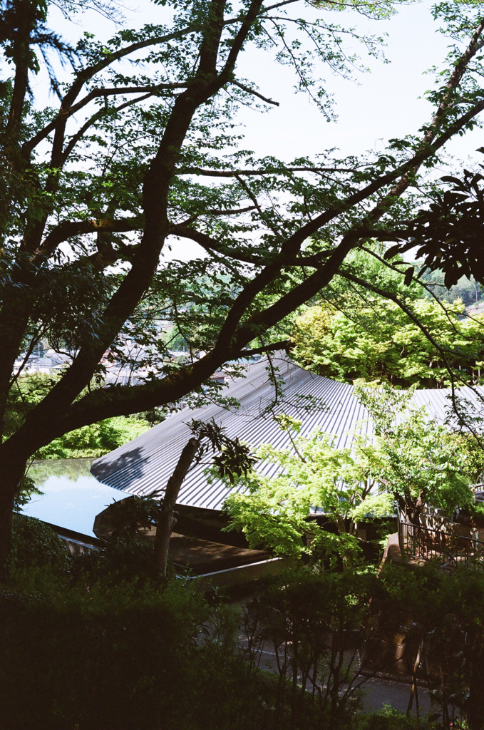 FF1DFAF8-A610-4A43-951D-C3E73F8FFEC7