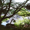 FF1DFAF8-A610-4A43-951D-C3E73F8FFEC7