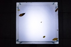 23CEA3BD-5EF2-49AB-A8A9-5AB17997C406