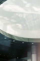 446C6E08-8C8A-49DE-9E54-A120A23EDE68