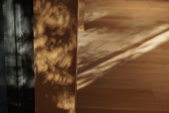 1B1F6BD7-109C-4F4A-A6A2-37C54DF30273