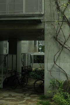 980D4BCD-9E6E-4ABA-8C7F-25A87EB56641