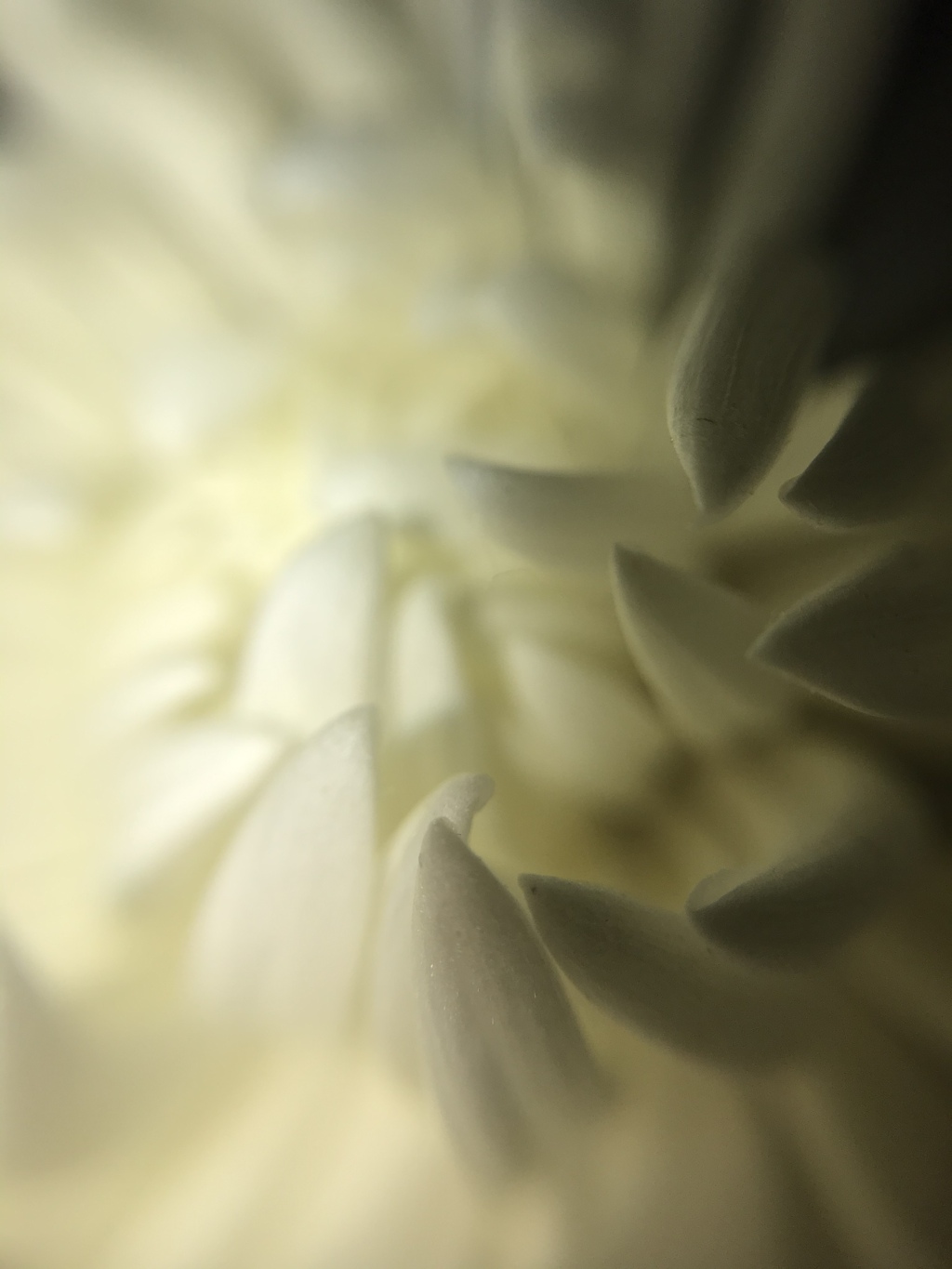 F984AA83-4FFA-4F37-9769-85CA3BE4450A