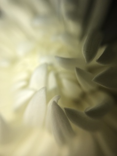 F984AA83-4FFA-4F37-9769-85CA3BE4450A