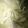 F984AA83-4FFA-4F37-9769-85CA3BE4450A