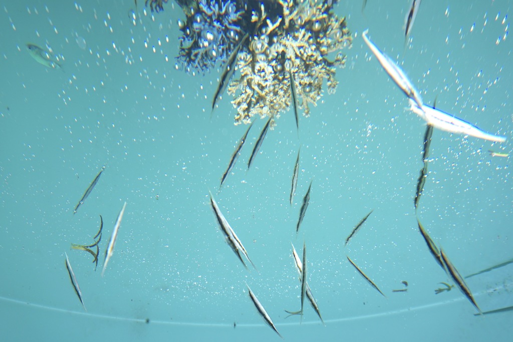 108E9FF6-788A-402F-97B9-DC0C16D78BC9