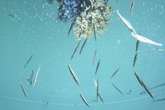 108E9FF6-788A-402F-97B9-DC0C16D78BC9