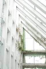 60A42BFD-A8B7-42B9-AFDA-D315D5EBFE33