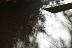 ECEE0B78-085E-47C9-BA3C-BB674C514B98