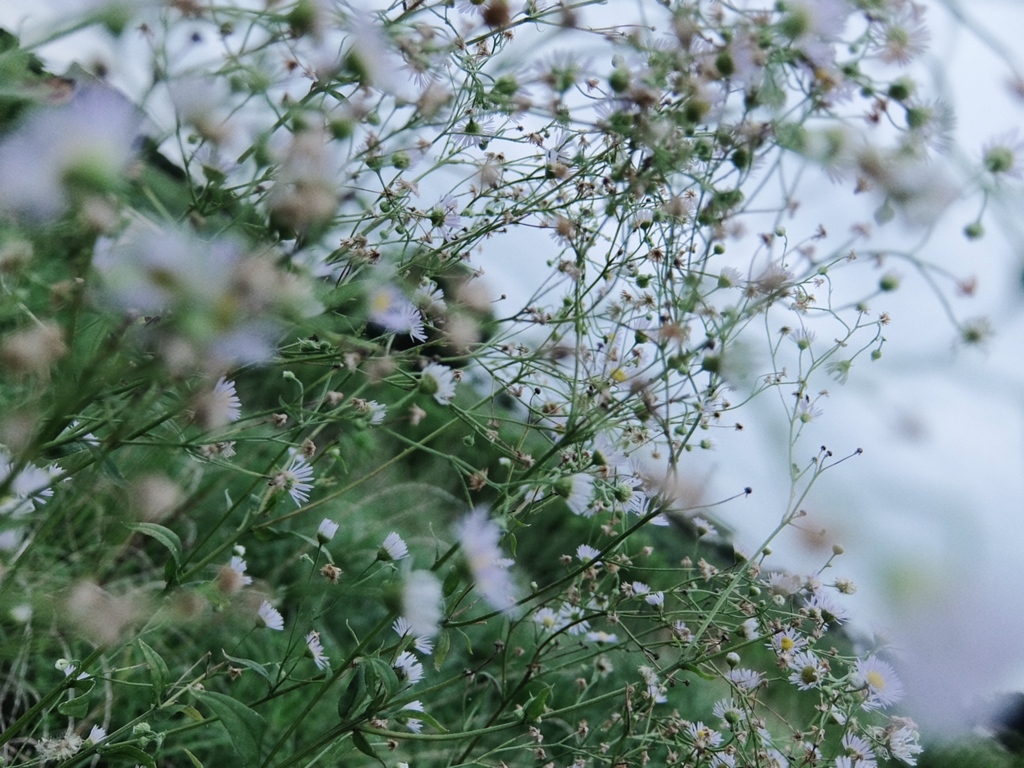 ACD68BD7-DD1C-4EAF-9F46-92AB85493C9E