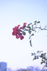 92B0EA99-C51D-4032-9F63-5EF76CC6AA71