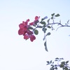 92B0EA99-C51D-4032-9F63-5EF76CC6AA71